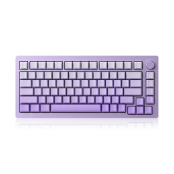 Monsgeek M1W HE SP - Purple